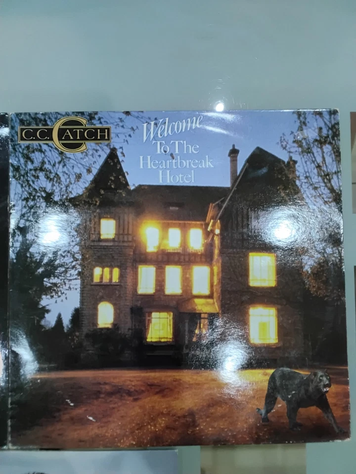 LOTTO 3 LP VINILI C.C. Catch – Catch The Catch/Heartbreak Hotel/Nothing Burt Hea - Immagine 4 di 4