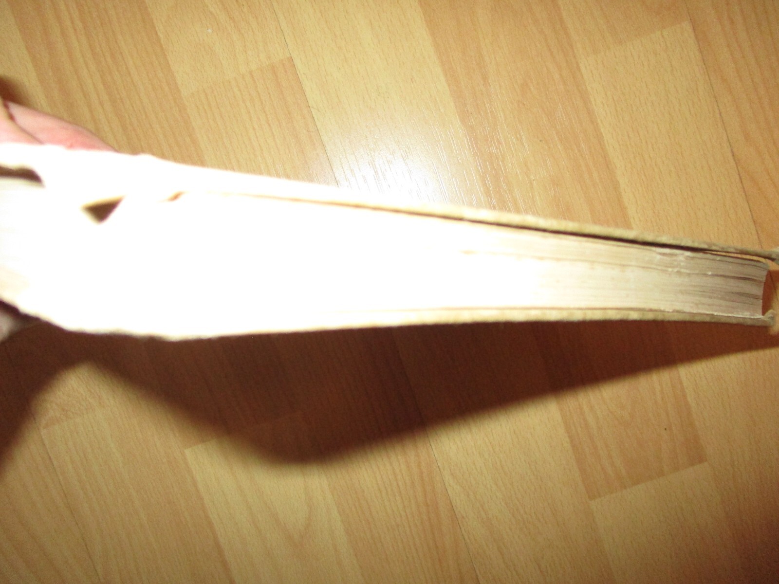 Bild 5 von 6