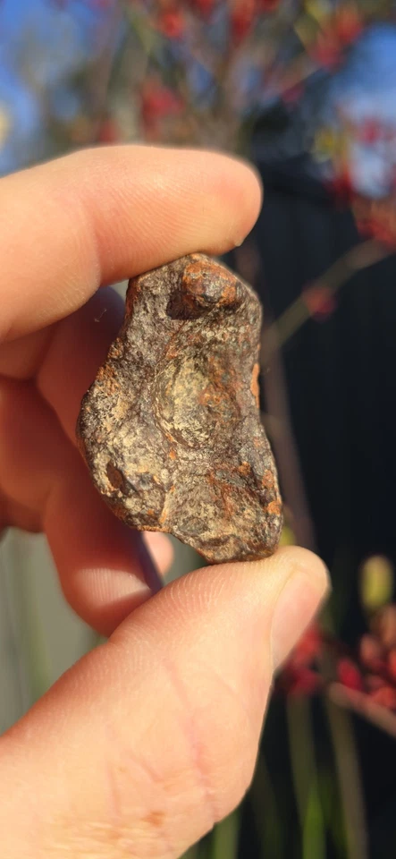 🪐 Mundrabilla Meteorite – 67.0 grams – Genuine Iron Meteorite from Western... - image 3 of 3