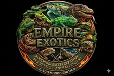 Accessori Rettili Terrario: Lampade UVB, Riscaldamento, Arredo e Substrati NUOVI