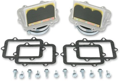 Boyesen Rage Cage Reed System #RAD-84-2 Ski-Doo