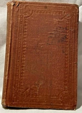 Grace Hall The Beauty and Her Plain Sister early book Carlton & Porter New York