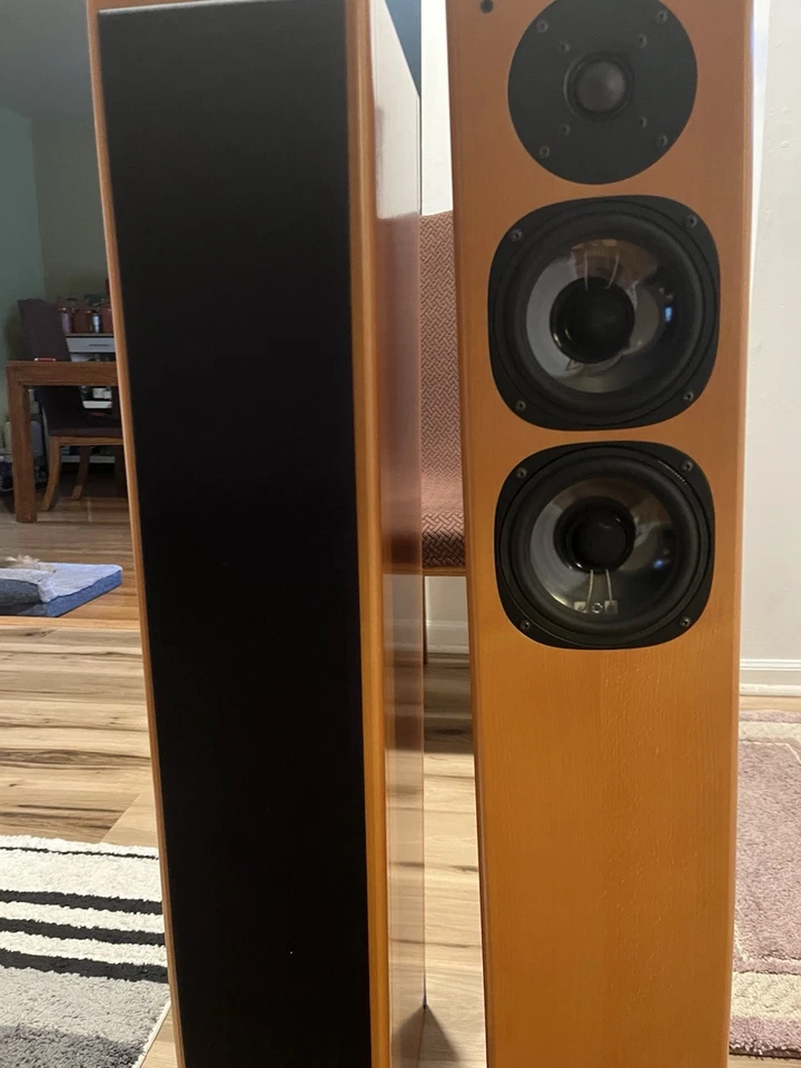 Viesnna Acoustic Floor Standing Speakers for Home - Image 3 of 4