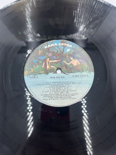 Shanana - Selbstbetitelt - LP - Vinyl Schallplatte Album - Sha Na Na - Bild 2 von 5