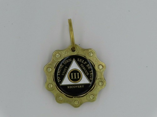 2 for 1 SALE! Alcoholics Anonymous Key Chain Chip Holder Keyring Gold Gift AA - Picture 9 of 11