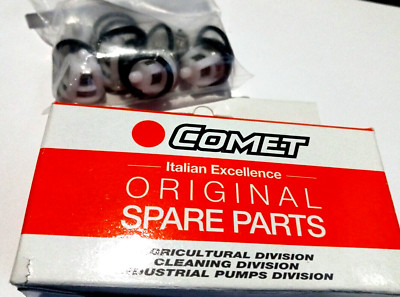 COMET 5025.0011.00 Original PUMP VALVE KIT fits LW FW HW RW ZW Pumps 5025001100