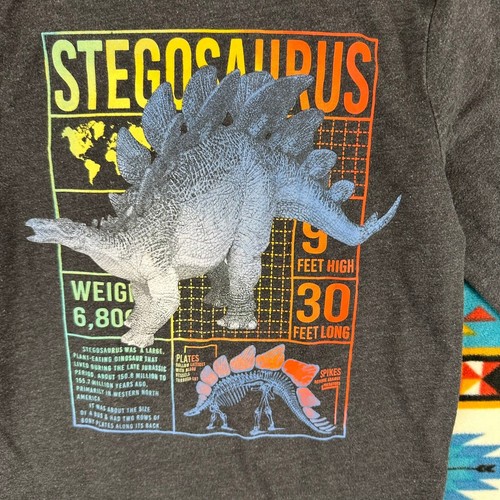 365 Kids Stegosaurus Graphic Tee Long Sleeve Gray Top Size 10 - Picture 5 of 5