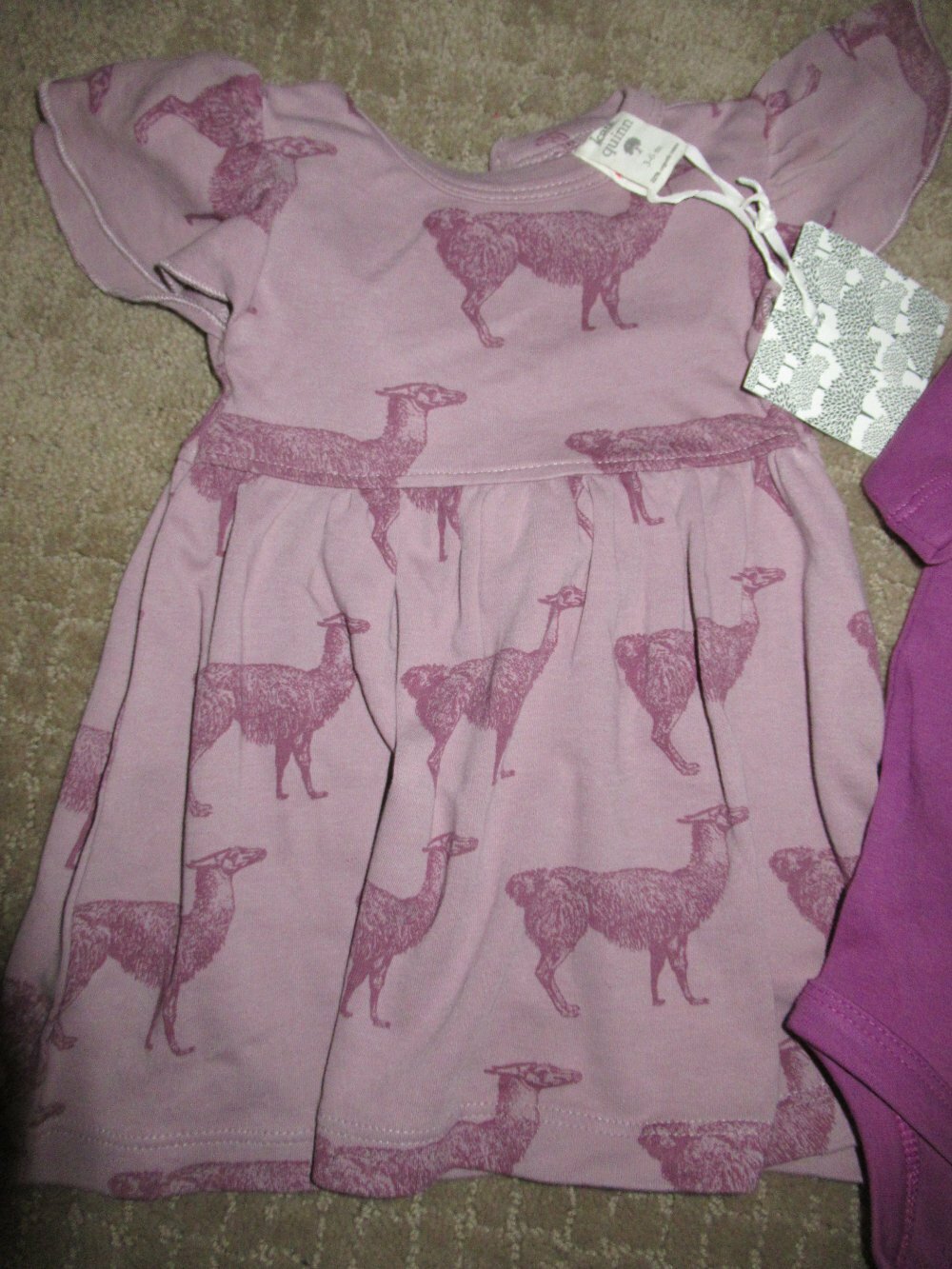 nwt lot Kate Quinn purple llama organic cotton dress snap bottom top girls  3-6 m | eBay