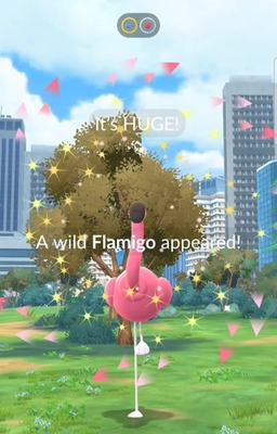 #ad Pokémon Go XXL Flamigo Trade 🔄 Pokémon Go $1.00