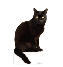 BLACK CAT - LIFE SIZE STANDUP/CUTOUT BRAND NEW 5185