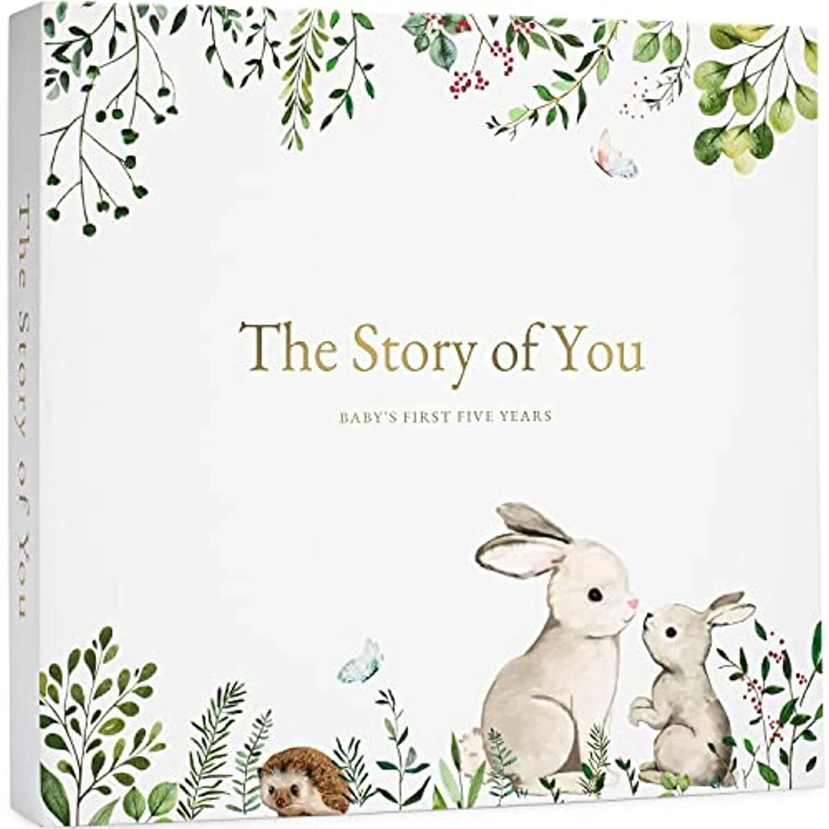 Story book for baby deals boy