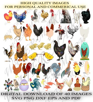 40 Chicken /Rooster Vectors  SVG PNG DXF EPS AND PDF Downloadable Clipart Bundle