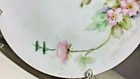 Signed THOMAS BAVARIA 6" HANDPAINTED PINK FLORAL Blossoms & Leaves PLATE  1908 — photo 2