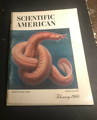 Scientific American - February 1966