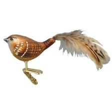 Old World Christmas Wren Bird Glass Tree Ornament FREE BOX 18082