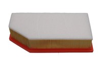 Kavo Parts Luftfilter Filtereinsatz Vorfilter FüR CitroëN C6 2.7 Hdi C5 III