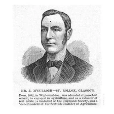 Mr John McCulloch MP for St Rollox Glasgow - Antique Print 1885