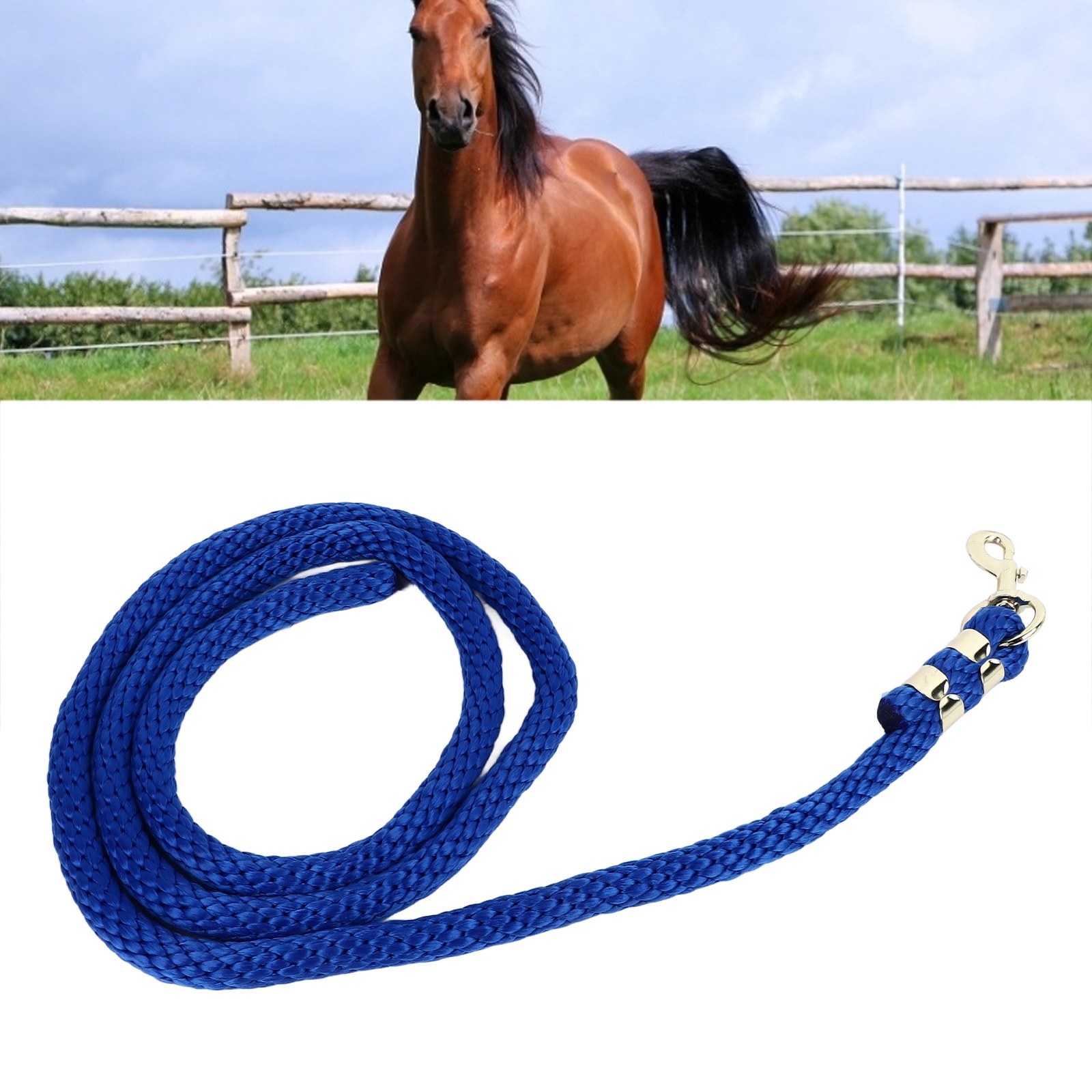 (Jewel Blue)Lunge Line For Horses Horse Lunge Line With Secure Snap Heavy Duty eBay