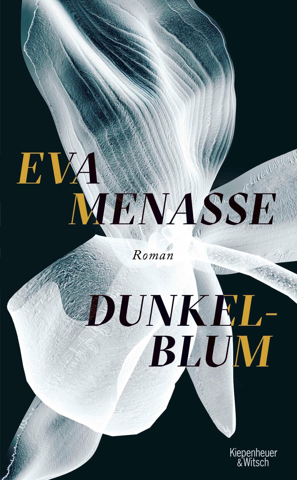 Thumbnail - Dunkelblum Eva Menasse