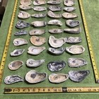 Lot of  44 Atlantic Oyster Shells 3.5 To 5 Inches Long Craft Art Collect ￼ — photo 6