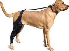 Dog Knee Brace for Torn Acl Hind Leg, Dog Leg Braces for Back Left Leg Acl Tear
