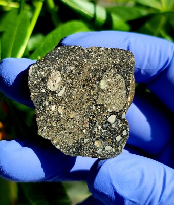 Meteorite**NWA 15349; Lunar Frag Breccia**22.705 gram endcut,W/Fusion Crust, NEW