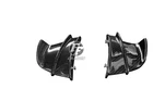 Carbon Winglets for BMW S 1000 R / S 1000 RR