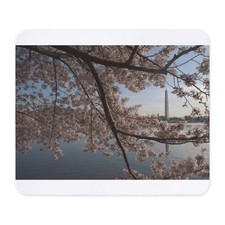 CafePress DSC 0029 4 Non-slip Rubber Mousepad, Gaming Mouse Pad 620162517 