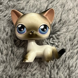 Figurine Littlest Pet Shop 852 – Chat Shorthair Européen Authentique Hasbro
