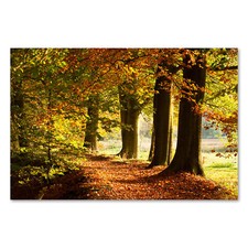 Postereck 1259 Poster Leinwand Weg, Bäume Wald Herbst Allee Natur Landschaft