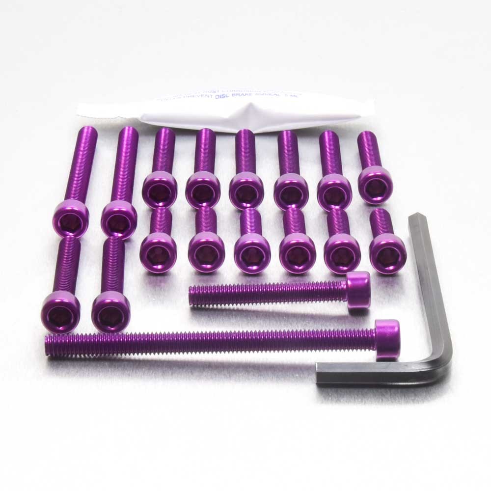 ZX1000RX Race Spec Engine Fastener Kit Purple | eBay