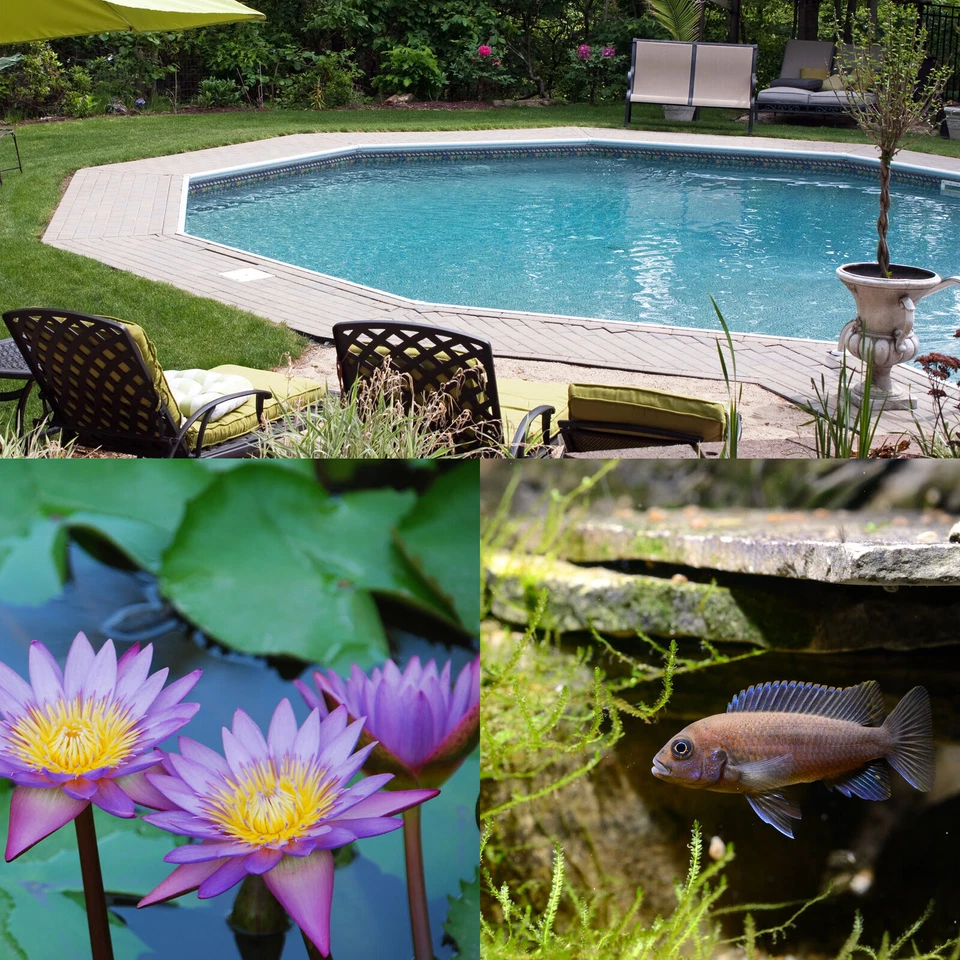 pH Wert Test1-14 Teststreifen Wassertest Streifen für Aquarium Pool Teich Wasser - Bild 3 von 4