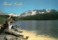 Trout Lake between Ophir and Rico Colorado, CO --- Postcard