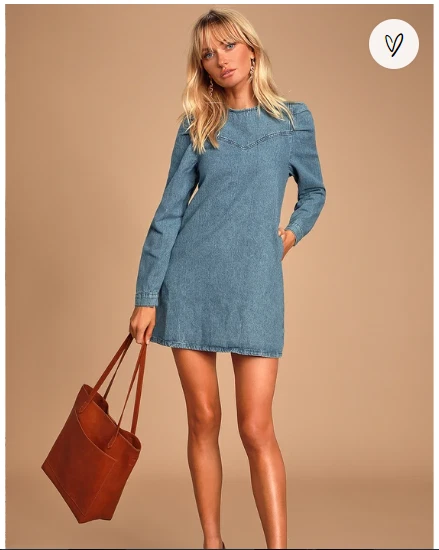 free people denim dress