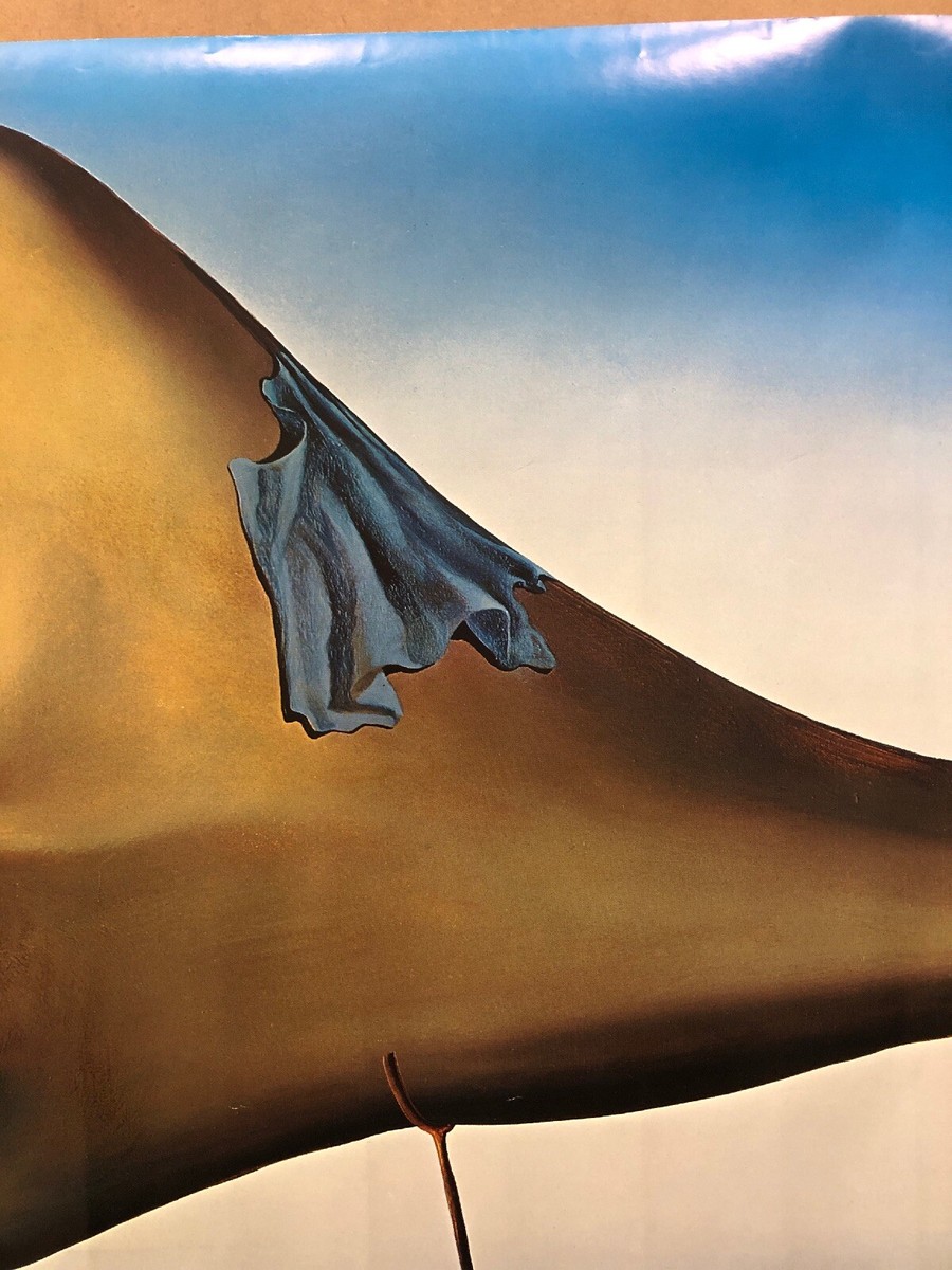 Original Vintage Poster Salvador Dali The Sleep German French