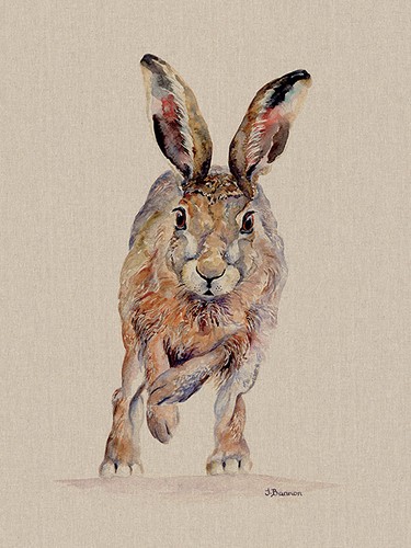 Jane Bannon Canvas Art Prints Range Of Animal Pictures 108 Different Options - Picture 84 of 120
