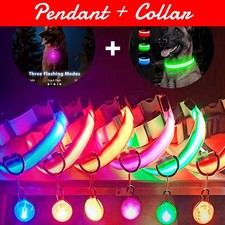 USB Rechargeable LED Dog Collar w/ Pendant   Glowing Safety for Small Dogs  Cat