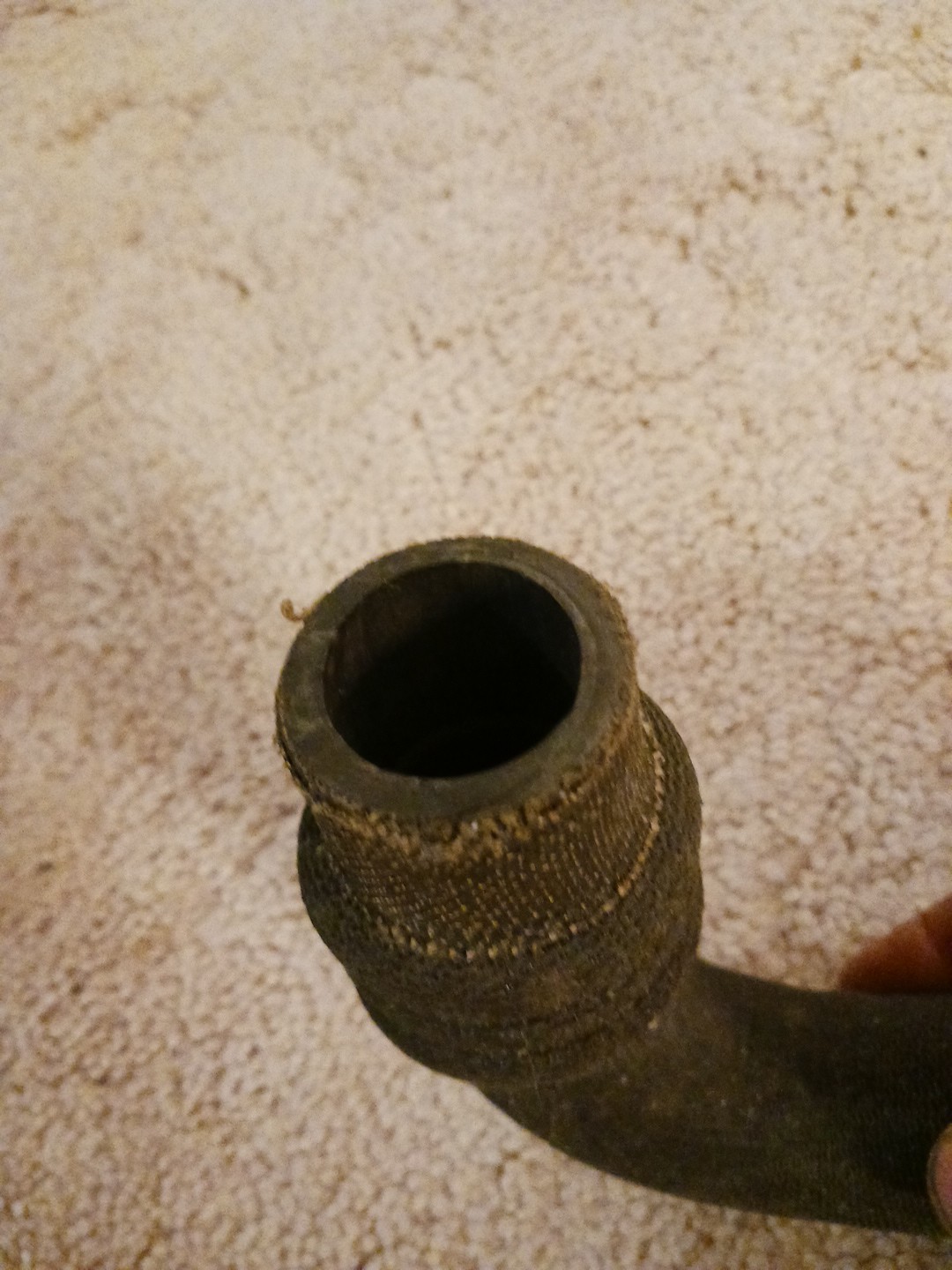 1954 Bentley Mk 6 Upper Radiator Hose