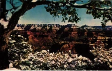 Postcard winter Scene, Grand Canyon National Park, Arizona