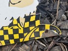 RARE GIANT Ya-hooo! MOUNTAIN DEW PORCELAIN  SIGN  24"X 12" SODA BEVERAGE — photo 8