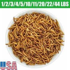 Non-GMO Dried Mealworms Fit Birds Chickens Fish Reptile Turtles 1/2/10/11/22 LBS
