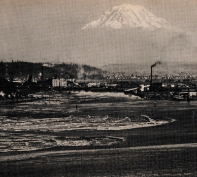J R Eyerman, Waterfront & Mt. Rainer Tacoma, Washington JUMBO Postcard 9 x 7 ''