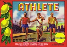 Athlete, Track, Vintage California Lemon Crate Label, Sunkist College Heights CA