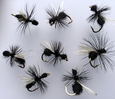 12 Mosche Da Trota Secca Midge & Black Spider - Misure Miste