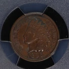 Indian Head Cent. 1895 PCGS EF Environmental Details. Lot # 9064-476-3700