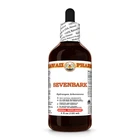 Sevenbark (Hydrangea Arborescens) Dried Root Liquid Herbal Extract