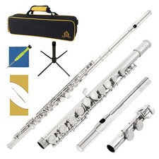 Closed Hole C Flute 16 Keys Instrument for Student Beginners with Cleaning Ki...