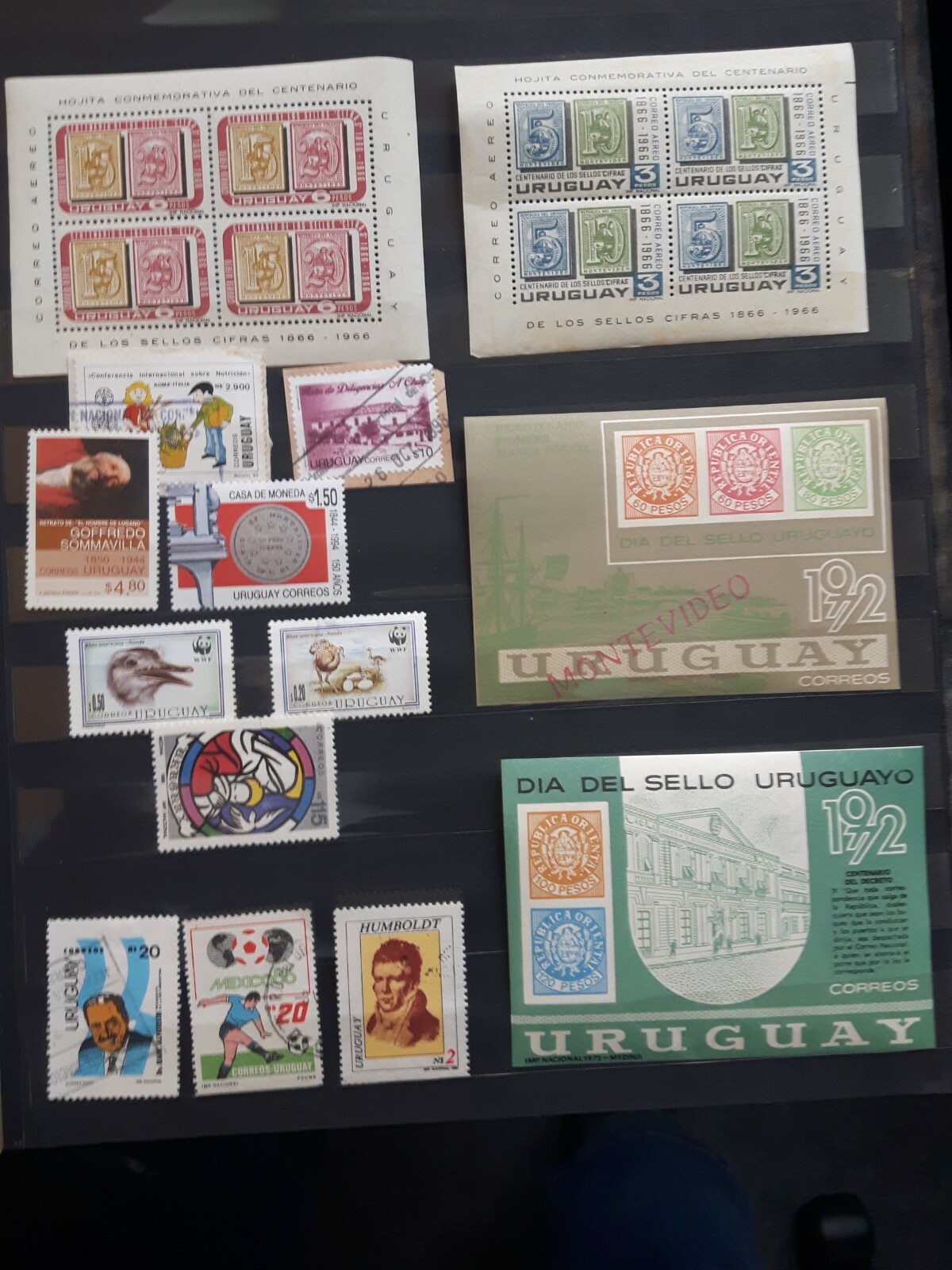 Picture 6 of 10