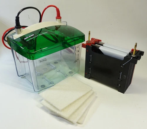 Bio-Rad Mini Trans-Blot Western Transfer System -Clean, Great Condition