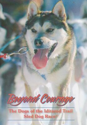 Beyond Courage: Dogs Of The Iditarod Trail Sled Dog Race DVD VIDEO  DOCUMENTARY